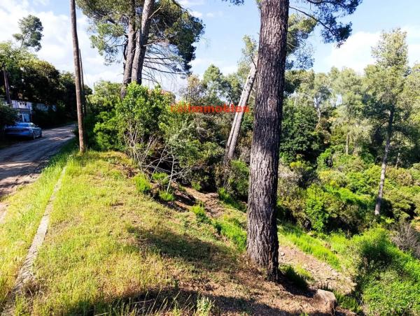 Terreno en calle Tossa photo 1