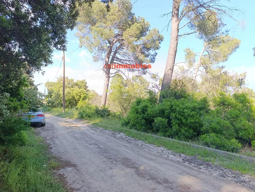 Terreno en venta en Molins de Rei, Barcelona photo 4