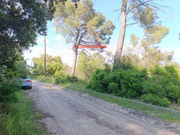 Terreno en calle Tossa photo 4