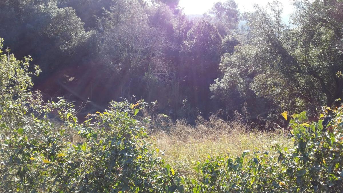 Land for sale in Molins de Rei, Barcelona photo 3