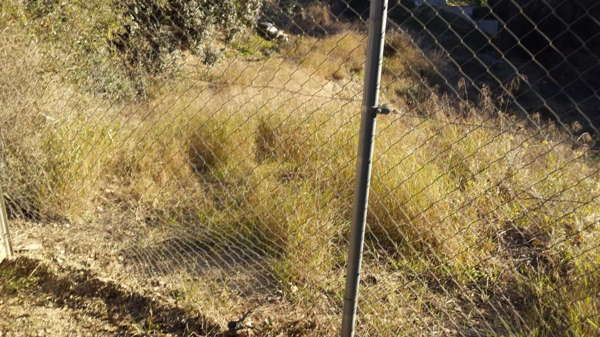 Land for sale in Molins de Rei, Barcelona photo 4