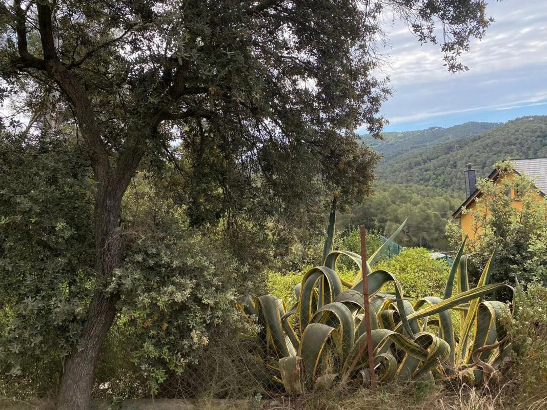 Terreno en venta en Molins de Rei, Barcelona photo 5