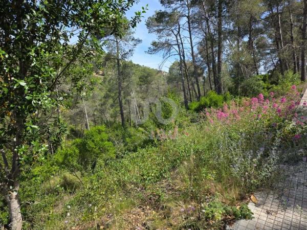 Terreno en Olesa de Bonesvalls photo 1