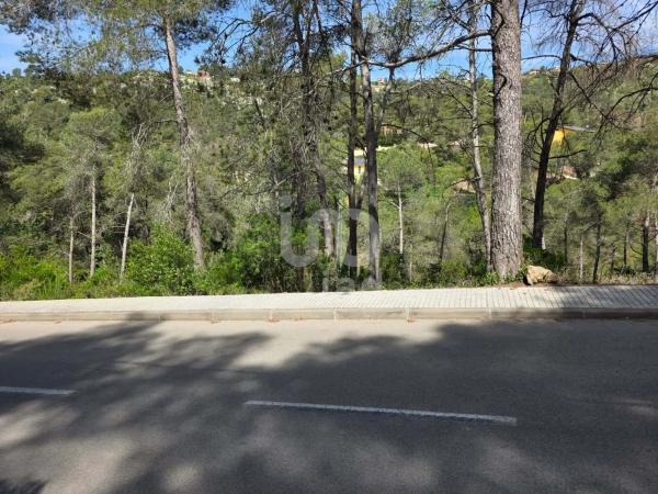 Terreno en Olesa de Bonesvalls photo 2