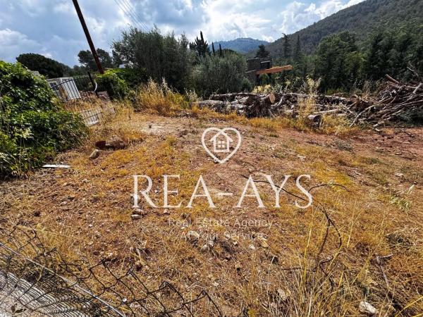 Terreno en Olesa de Bonesvalls photo 2