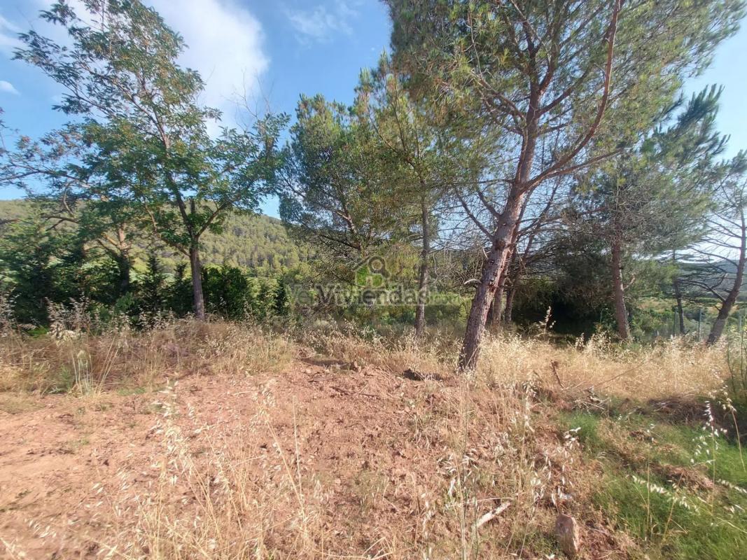 Участок земли на продажу в Оле́са-де-Бонесва́льс, Барселона photo 3