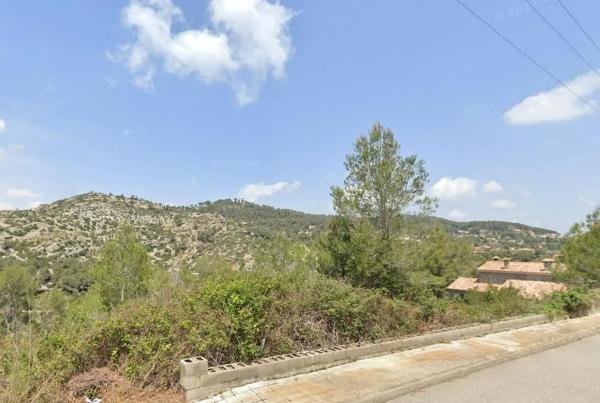 Terreno en Olesa de Bonesvalls photo 3