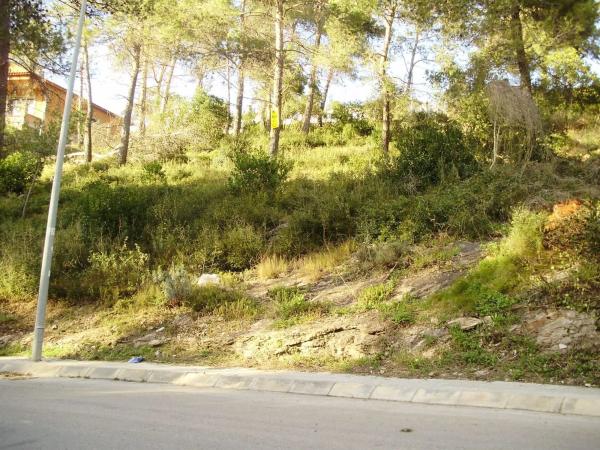 Terreno en calle dels Pins photo 3