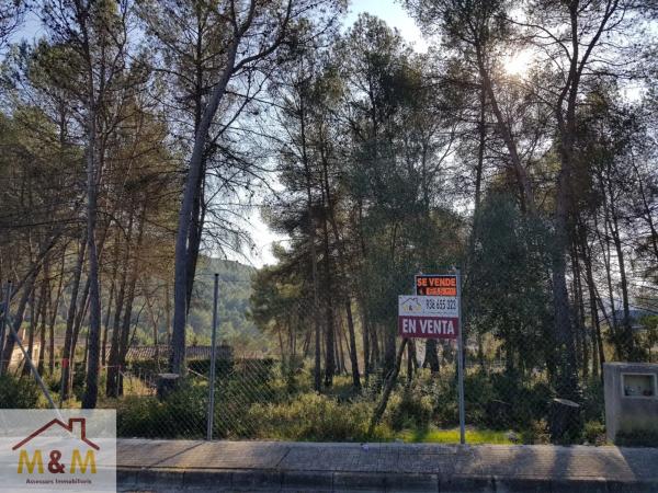 Terreno en Olesa de Bonesvalls thumbnail 1