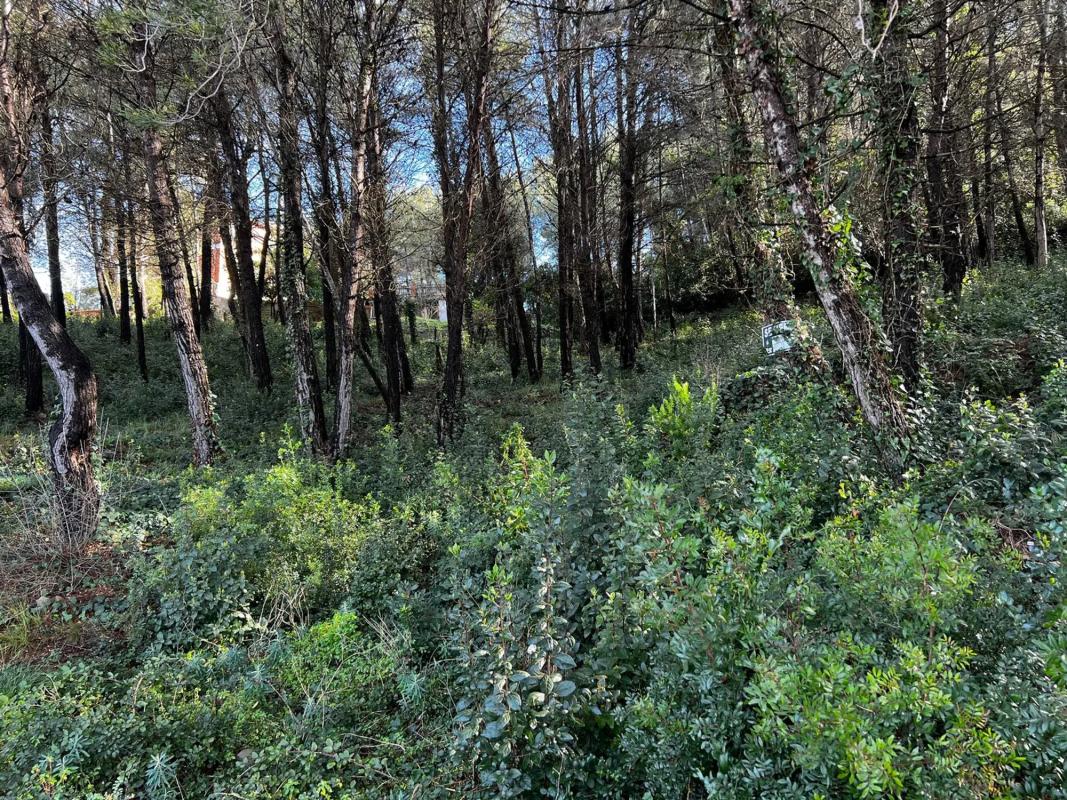 Land for sale in Olesa de Bonesvalls, Barcelona photo 1
