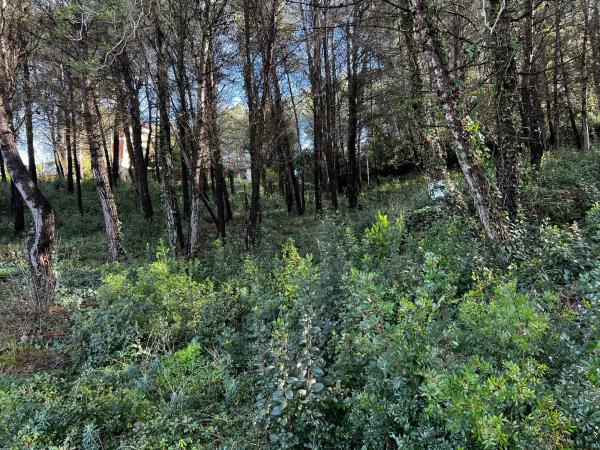 Terreno en calle Sant Sever photo 1