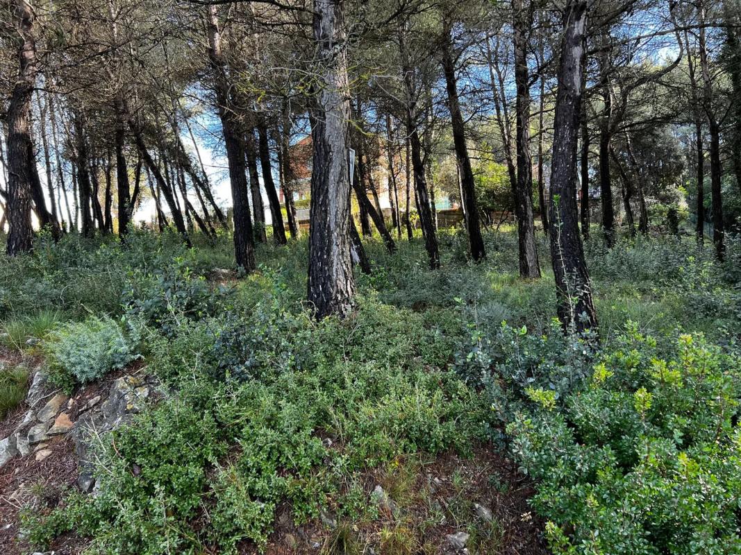 Land for sale in Olesa de Bonesvalls, Barcelona photo 2