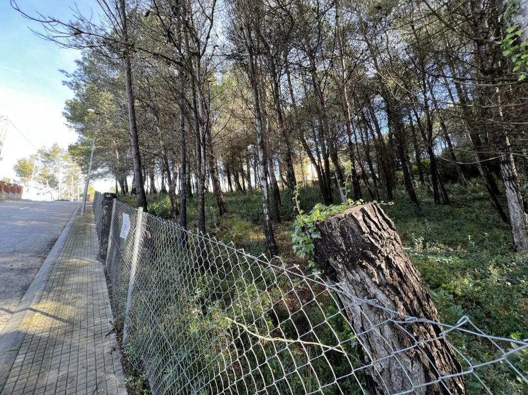 Land for sale in Olesa de Bonesvalls, Barcelona photo 3