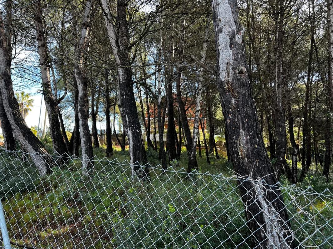 Land for sale in Olesa de Bonesvalls, Barcelona photo 4