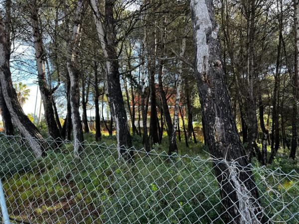 Terreno en calle Sant Sever photo 4