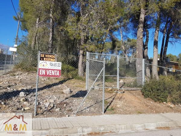 Terreno en Olesa de Bonesvalls photo 1