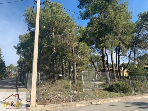 Terreno en Olesa de Bonesvalls photo 3