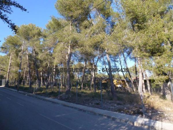 Terreno en Olesa de Bonesvalls photo 1