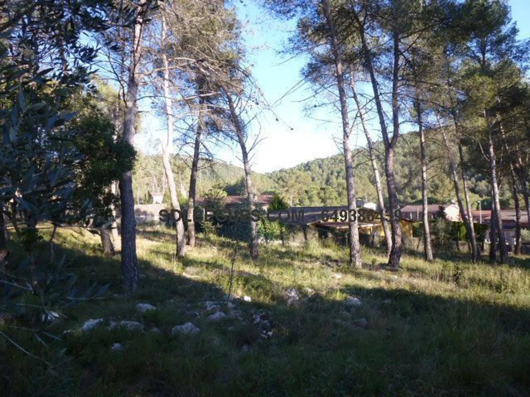Terreno en venta en Olesa de Bonesvalls, Barcelona photo 2