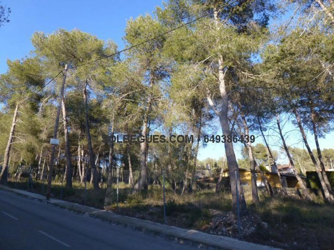Terreno en venta en Olesa de Bonesvalls, Barcelona photo 5