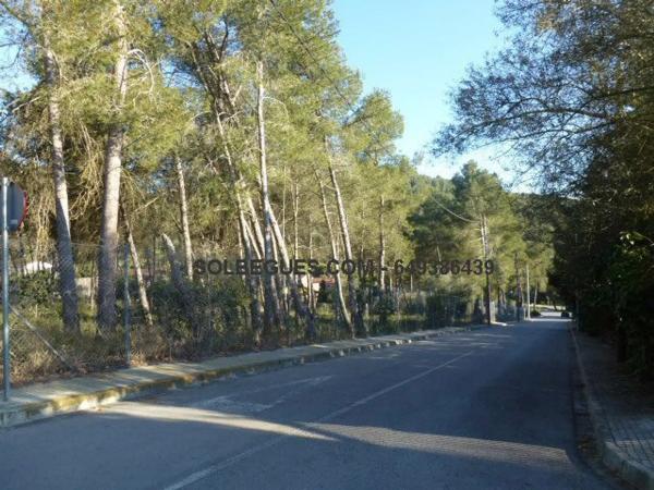 Terreno en Olesa de Bonesvalls photo 1