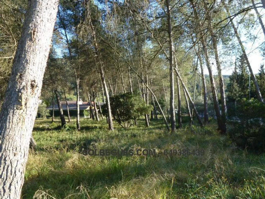 Terreno en venta en Olesa de Bonesvalls, Barcelona photo 2