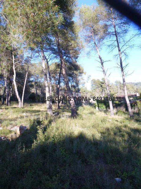 Terreno en venta en Olesa de Bonesvalls, Barcelona photo 3