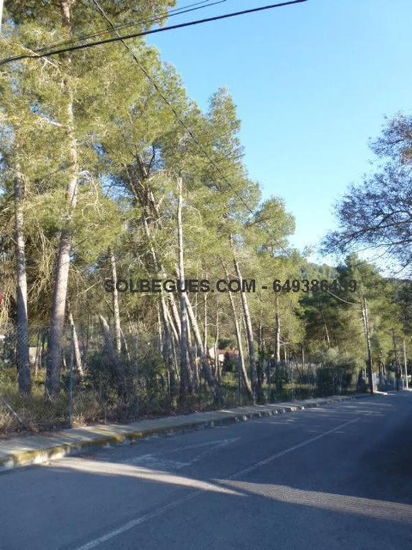Terreno en venta en Olesa de Bonesvalls, Barcelona photo 4