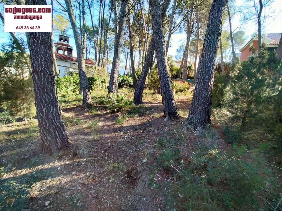 Terreno en venta en Olesa de Bonesvalls, Barcelona photo 2