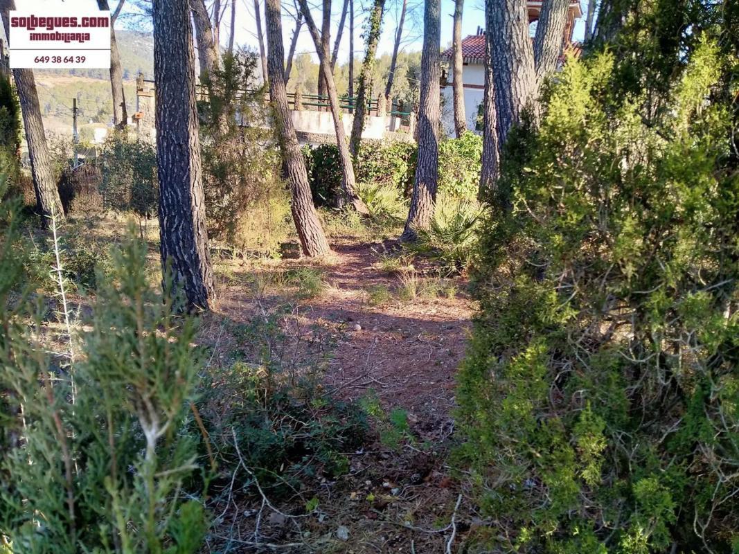 Terreno en venta en Olesa de Bonesvalls, Barcelona photo 3