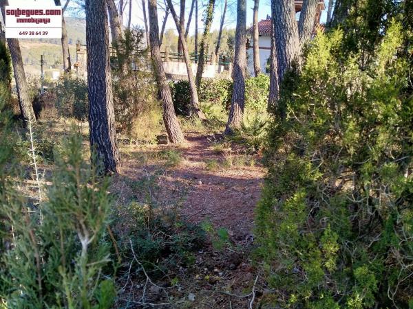 Terreno en Olesa de Bonesvalls photo 3
