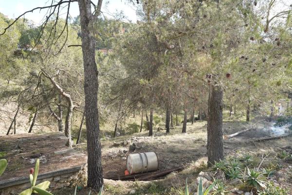 Terreno en calle Solei photo 1