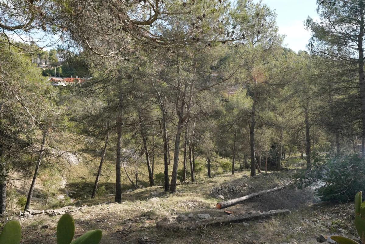 Terreno en venta en Olesa de Bonesvalls, Barcelona photo 2