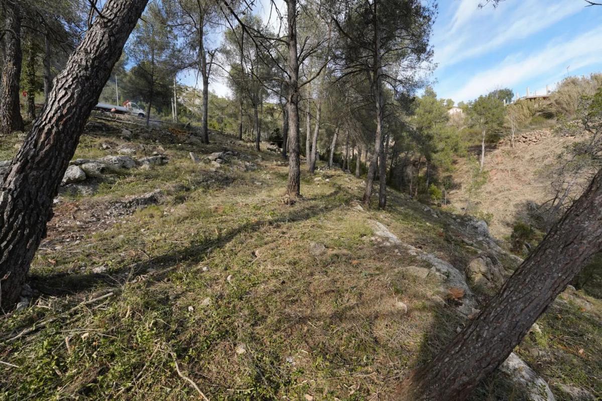Terreno en venta en Olesa de Bonesvalls, Barcelona photo 3