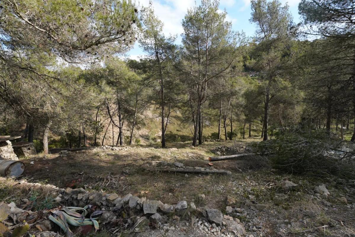 Terreno en venta en Olesa de Bonesvalls, Barcelona photo 4