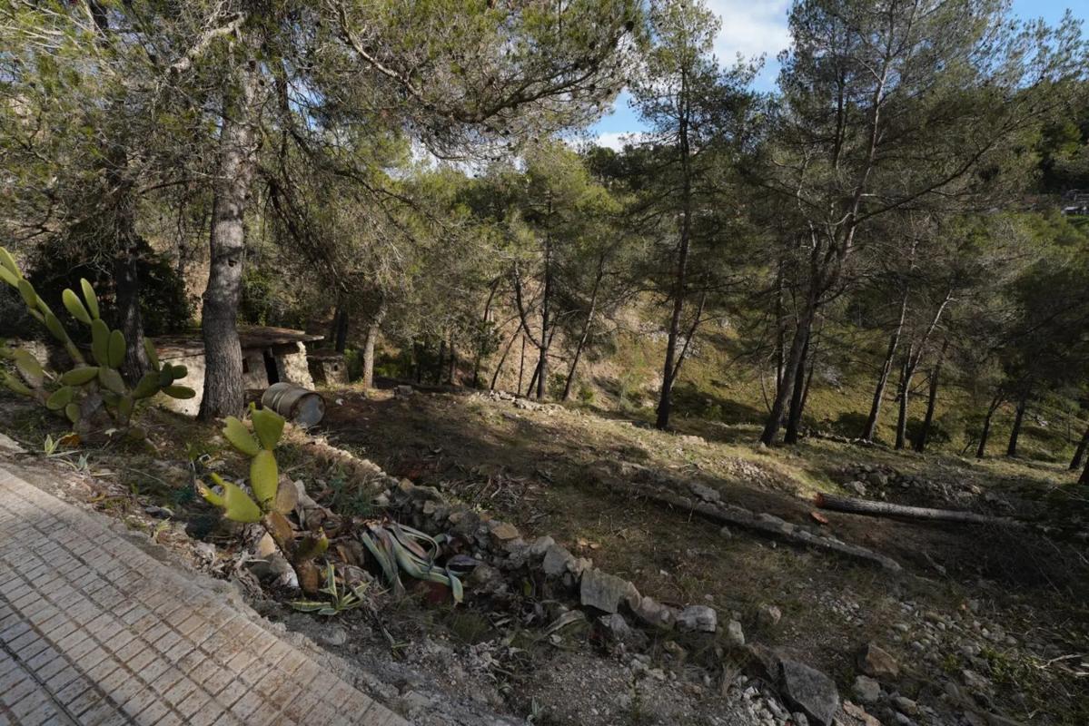 Terreno en venta en Olesa de Bonesvalls, Barcelona photo 5