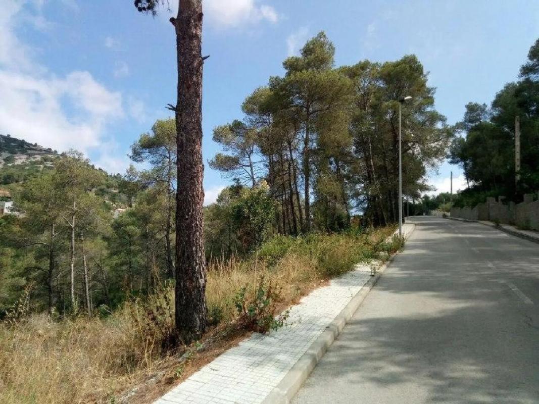 Terreno en venta en Olesa de Bonesvalls, Barcelona photo 3
