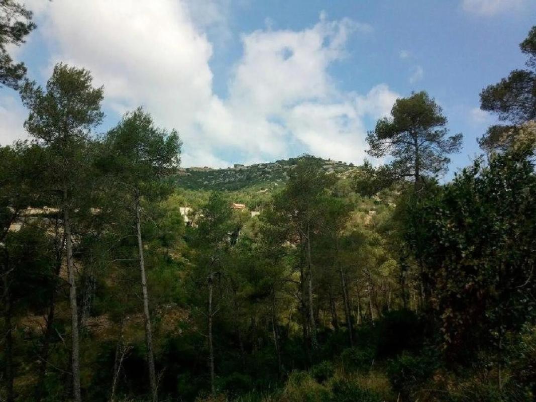 Terreno en venta en Olesa de Bonesvalls, Barcelona photo 5