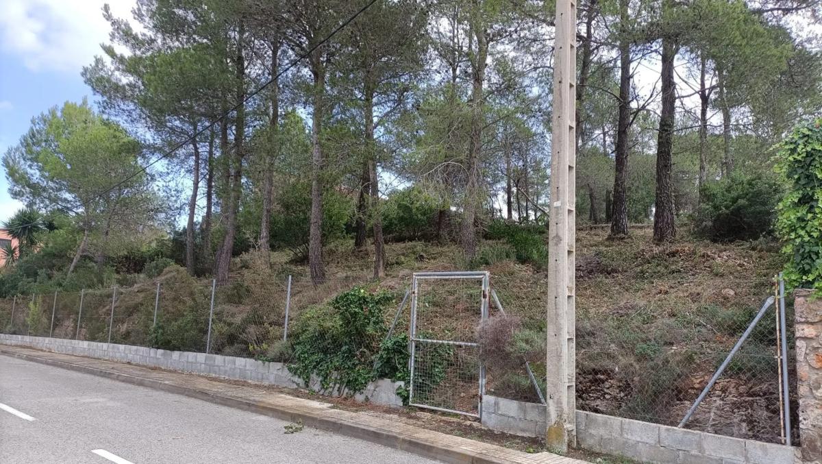 Land for sale in Olesa de Bonesvalls, Barcelona photo 1