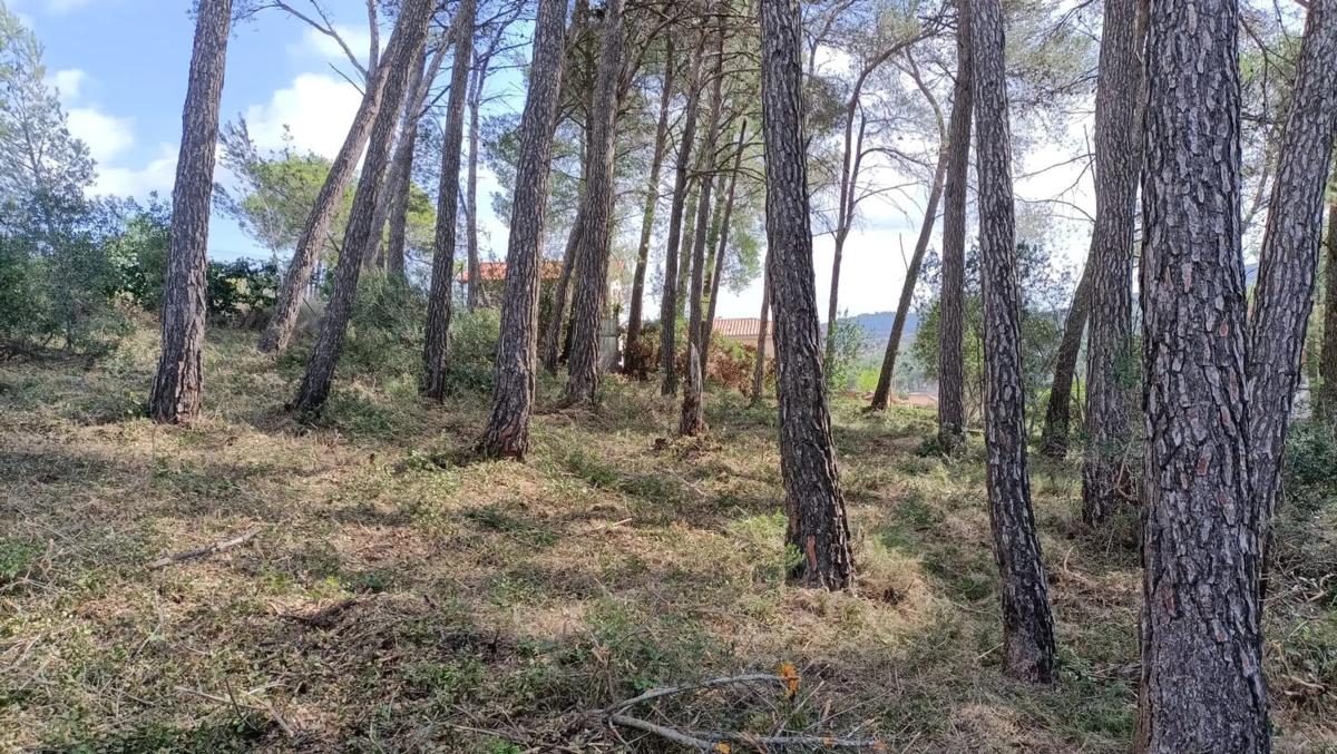 Land for sale in Olesa de Bonesvalls, Barcelona photo 2