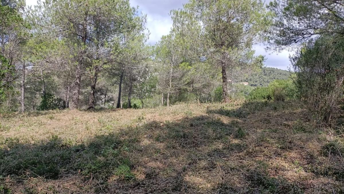 Land for sale in Olesa de Bonesvalls, Barcelona photo 3