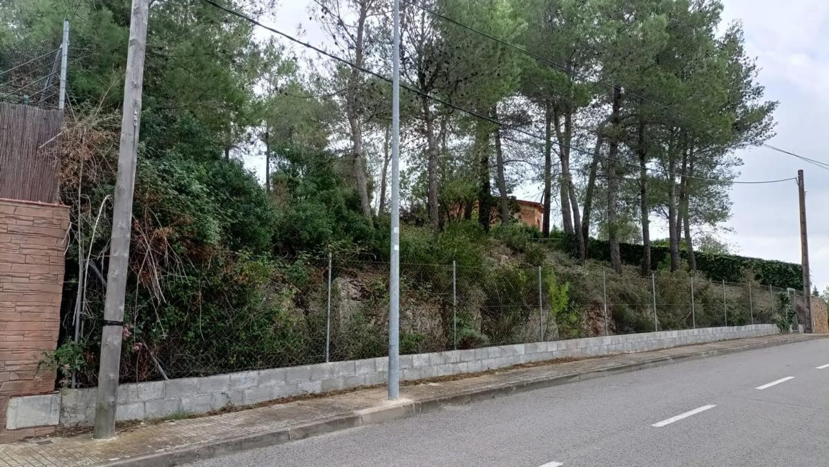 Land for sale in Olesa de Bonesvalls, Barcelona photo 5