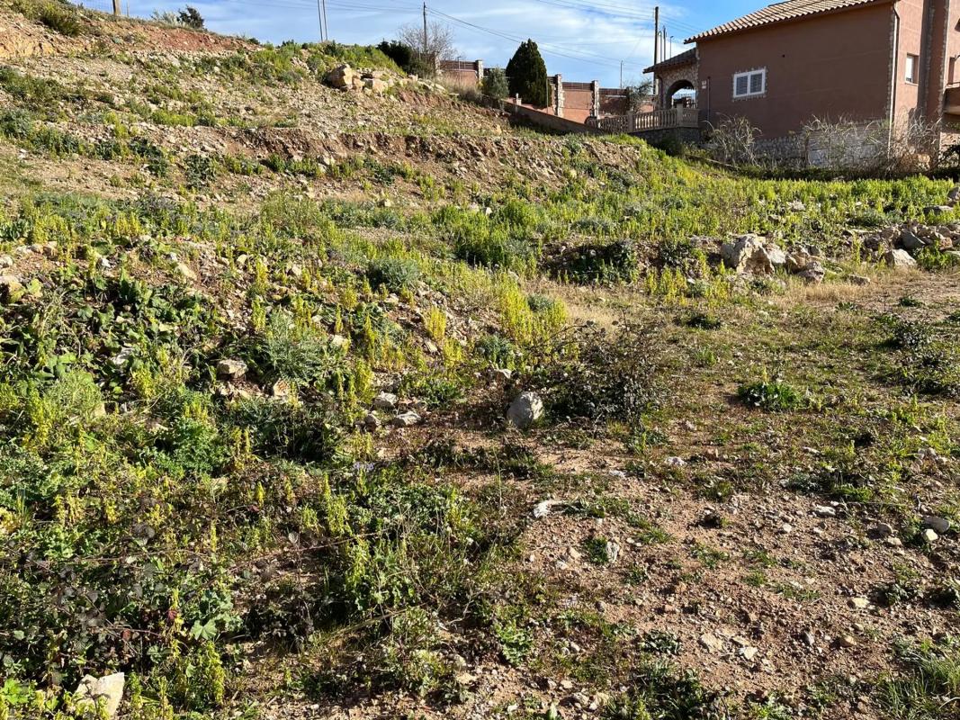 Land for sale in Olesa de Bonesvalls, Barcelona photo 4