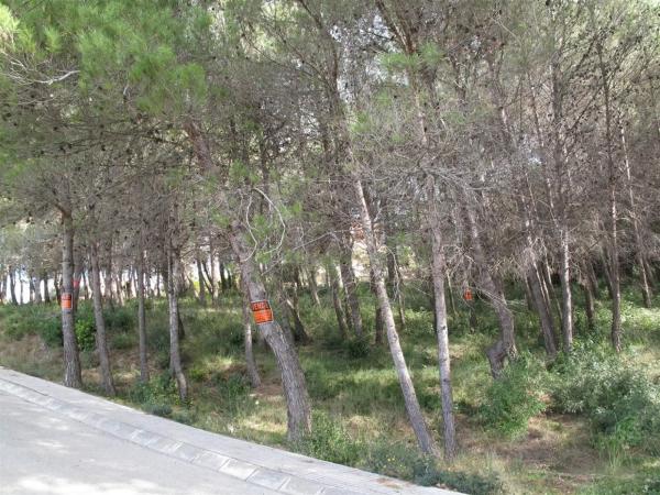 Terreno en Olesa de Bonesvalls photo 1
