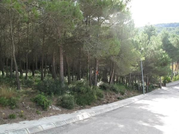 Terreno en Olesa de Bonesvalls photo 2