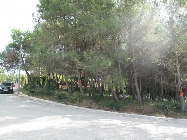 Terreno en Olesa de Bonesvalls photo 4