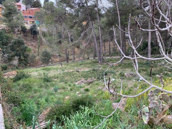 Terreno en Olesa de Bonesvalls photo 1