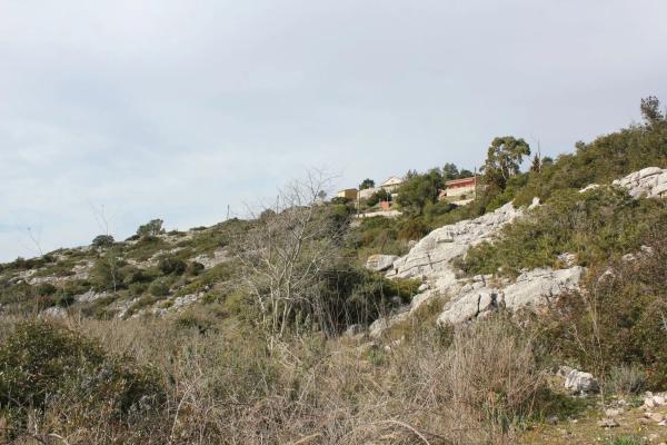 Terreno en calle Puig Bernat, 1 photo 3