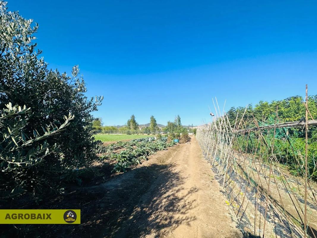 Terreno en venta en Sant Boi de Llobregat, Barcelona photo 2
