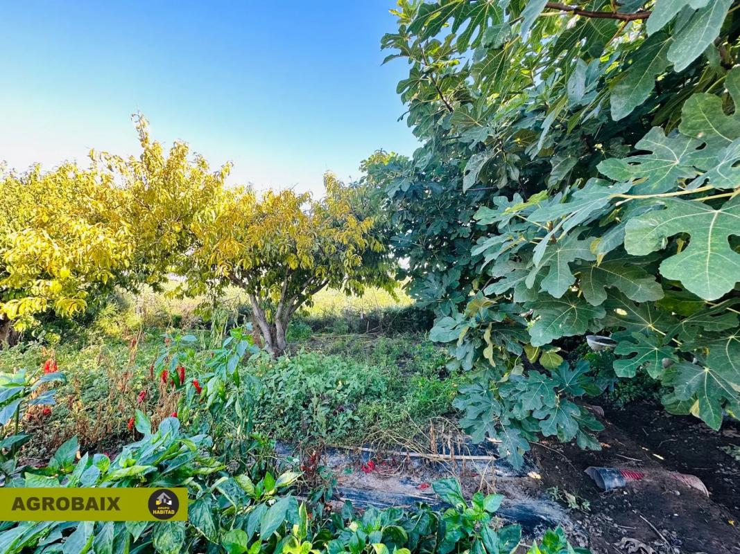 Terreno en venta en Sant Boi de Llobregat, Barcelona photo 3